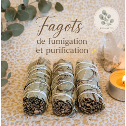 Bâton de fumigation à l'eucalyptus naturel — Purification, clarté & renouveau énergétique