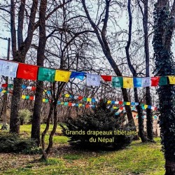 Drapeaux taille L (6,5 m) — 25 fanions tibétains traditionnels