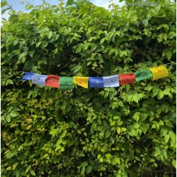 Petits drapeaux (1 m) — 10 fanions carrés (10 × 10 cm)