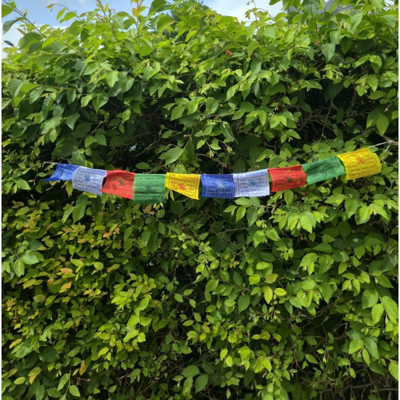 Petits drapeaux (1 m) — 10 fanions carrés (10 × 10 cm)