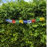 Petits drapeaux (1 m) — 10 fanions carrés (10 × 10 cm)